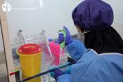نقش انستیتو پاستور ایران در پاسخ به پاندمی کرونا، 1400