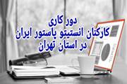 دورکاری کارکنان انستیتو پاستور ایران در استان تهران