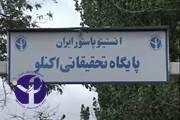 مستند حمله طبیعت به انسان - سال 1391