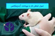 انتصاب اعضای کمیته تخصصی اخلاق در کار با حیوانات آزمایشگاهی انستیتو پاستور ایران