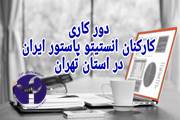 دورکاری کارکنان انستیتو پاستور ایران در استان تهران