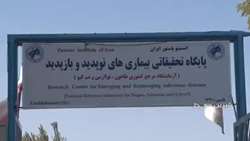 نشست مروری بر تاریخچه طاعون انسانی در ایران با همکاری دائره المعارف پزشکی اسلام و ایران مهر 1398