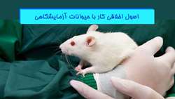 انتصاب اعضای کمیته تخصصی اخلاق در کار با حیوانات آزمایشگاهی انستیتو پاستور ایران