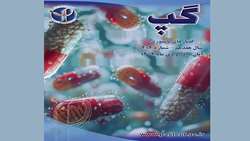 گپ شماره 204 (گفتارهای پاستوری)
