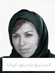 بردبار